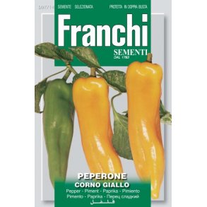 Capsicum annuum Corno Giallo