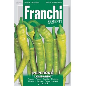 Capsicum annuum Lombardo