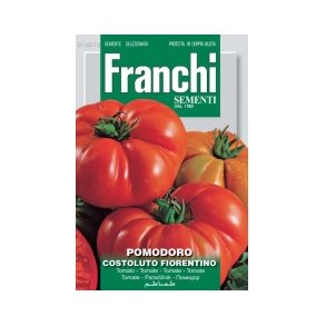 Solanum lycopersicum Costoluto Fiorentino