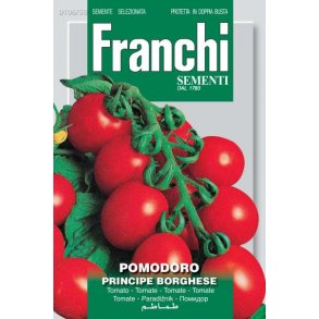 Solanum lycopersicum Principe Borghese
