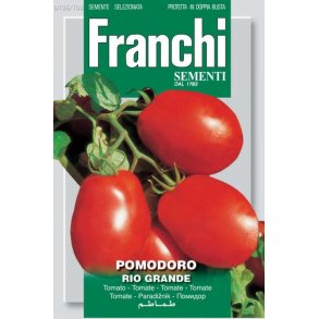Solanum lycopersicum Rio Grande