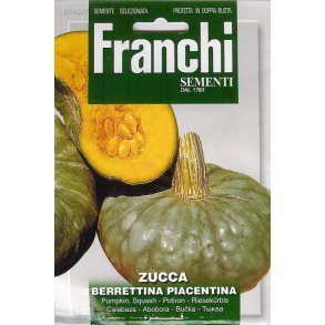 Cucurbita moschata Berrettina Piacentina