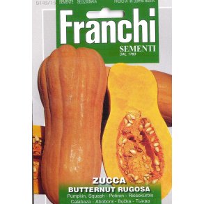 Cucurbita moschata Butternut Rugosa