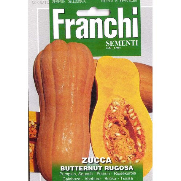 Cucurbita moschata Butternut Rugosa