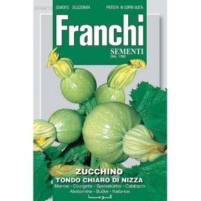 Cucurbita pepo Tondo Chiaro Di Nizza