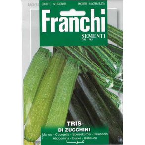 Cucurbita pepo Tris Marrow