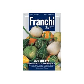 Cucurbita pepo mixet. Pyntegrskar.