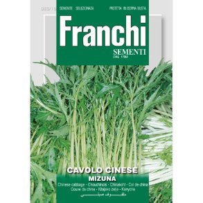 Brassica junceca Mizuna 