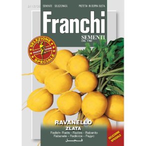 Raphanus sativus Zlata