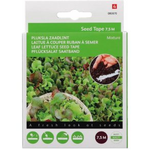 Lactuca sativa Green Salat Bowl