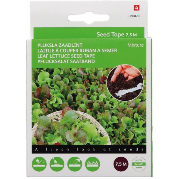 Lactuca sativa Green Salat Bowl