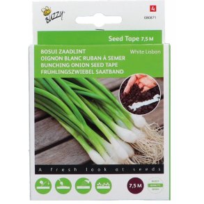 Allium cepa White Lisbon 