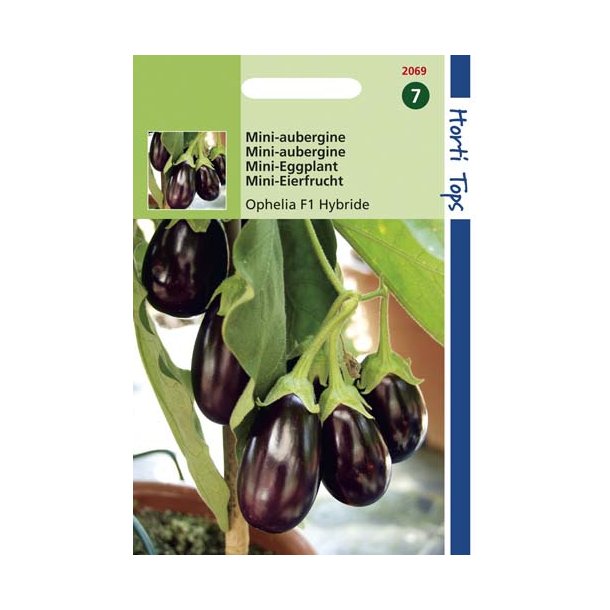 Solanum melongena Ophelia F1