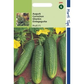 Cucumis sativus Profi F1