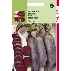 Beta vulgaris var. conditiva Cylindra