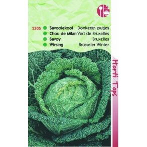 Brassica oleracea sabauda L. Brussels