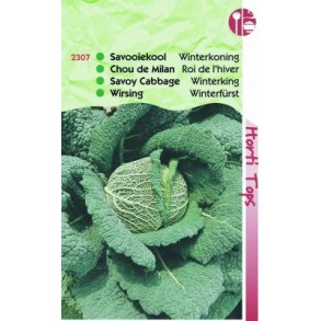 Brassica oleracea sabauda L. Winterkoning 2