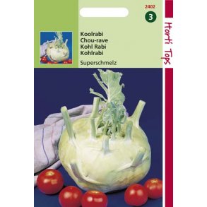 Brassica oleracea var. gongylodes Giant White - Superschmelz