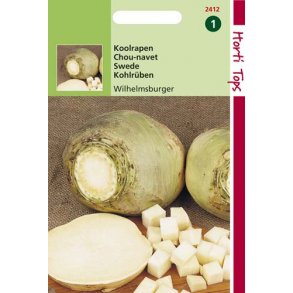 Brassica napus var. napobrassica Wilhemsburger