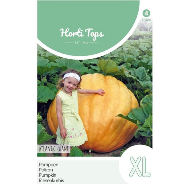 Cucurbita maxima Atlantic Giant