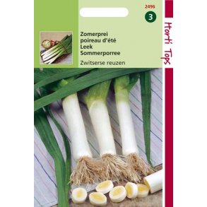 Allium porrum Swiss Giant - American Flag