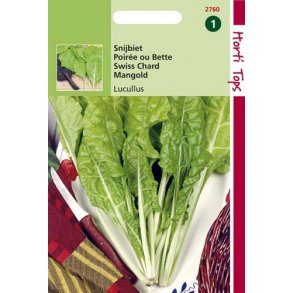 Beta vulgaris L. var. vulgaris Lucullus