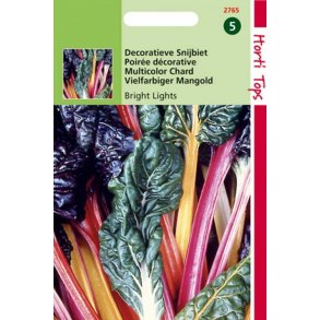 Beta vulgaris Bright Lights