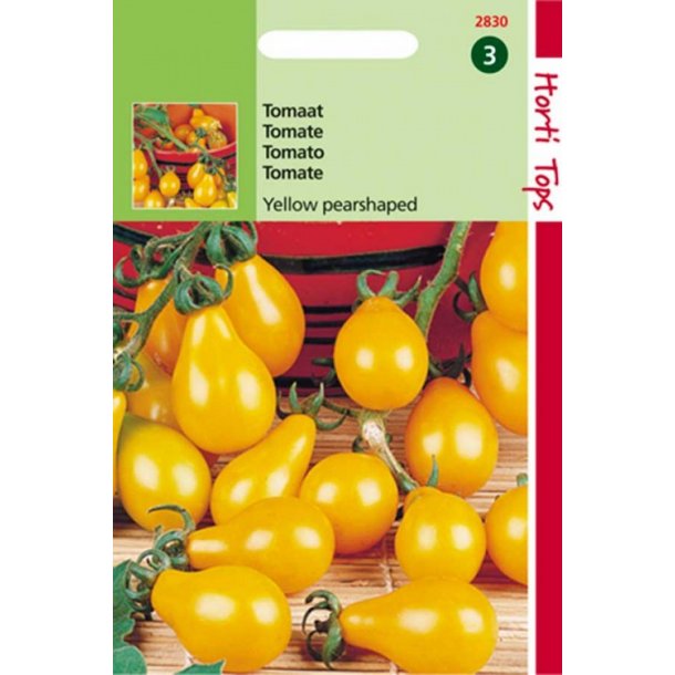 Solanum lycopersicum Yellow Pear