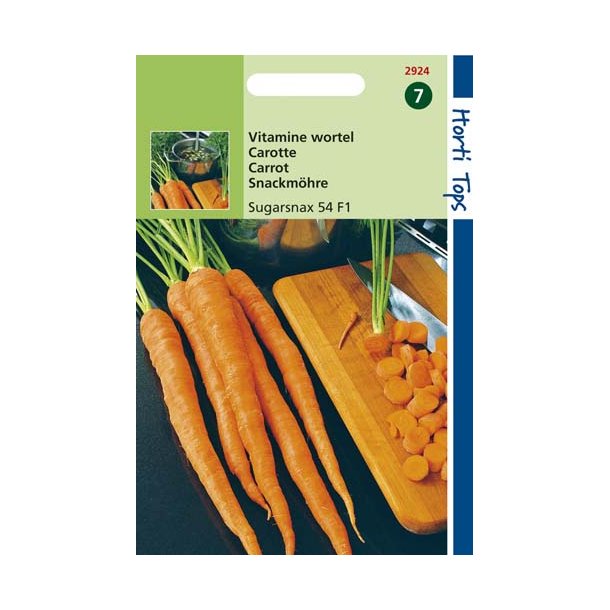 Daucus carota ssp. Sativus Sugersnax 54 F1