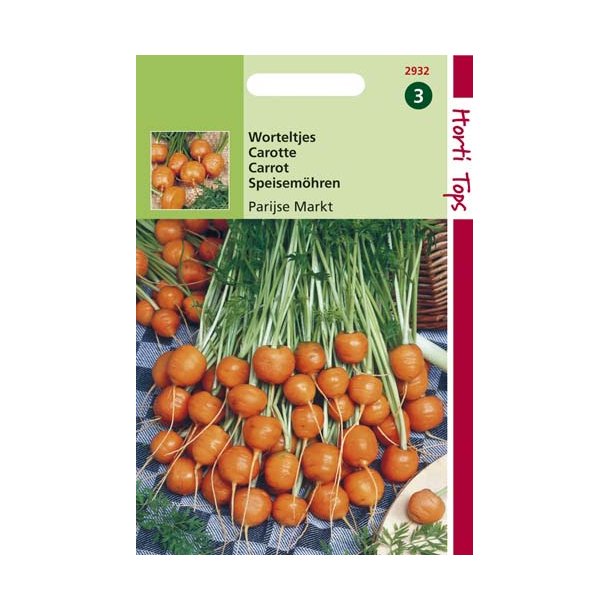 Daucus carota ssp. sativus Paris Market 4