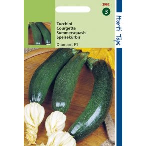 Cucurbita pepo Diamant F1