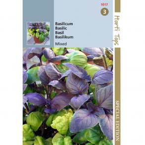 Ocimum basilicum Mixed