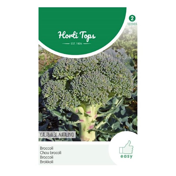 Brassica oleracea Calabrese Natalino