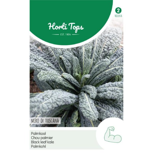 Brassica oleracea convar. acephala Nero di Toscana
