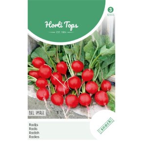 Raphanus sativus Bel Image