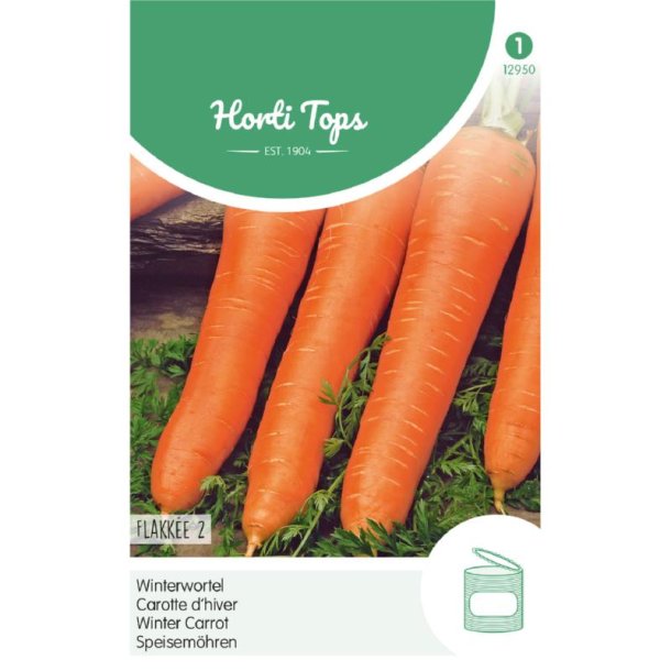 Daucus carota Flakkee 2