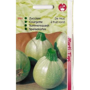 Cucurbita pepo De Nice