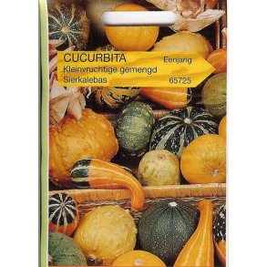 Cucurbita Pepo Smpyntegrskar blanding