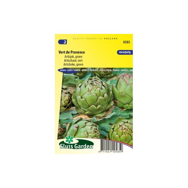 Cynara cardunculus Vert de Provence