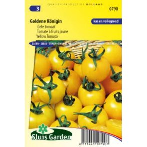 Solanum lycopersicum Golden Konigin