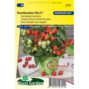 Solanum lycopersicum Heartbrekers Vita F1