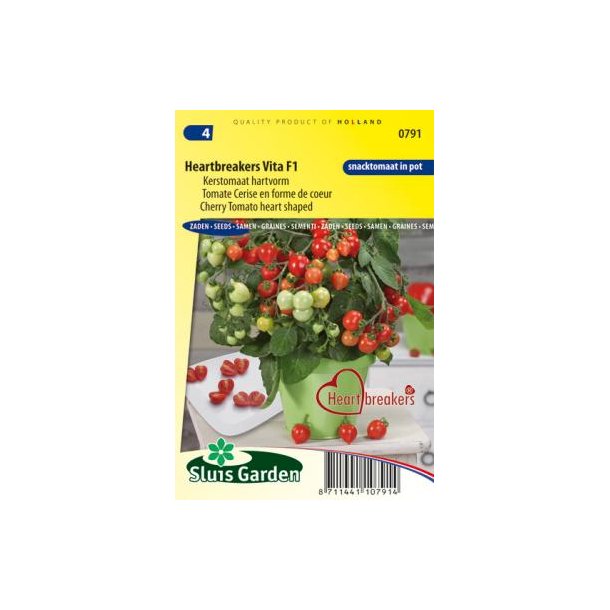 Solanum lycopersicum Heartbrekers Vita F1