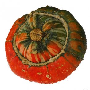 Cucurbita maxima Turk�s Turban
