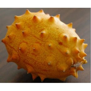 Cucumis metuliferus Kiwano