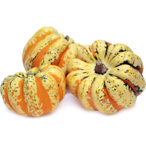 Cucurbita pepo Carnival