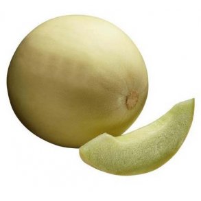 Cucumis melo Witte Suiker